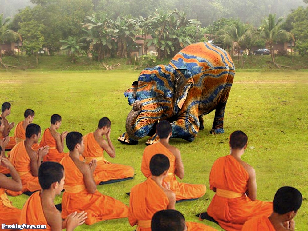 ادیان عجیب1 8